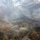 Perkebunan Sawit Warga Abdya Terbakar