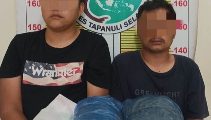 Bawa Ganja 2 Kg Warga Madina Ditangkap Polres Tapsel