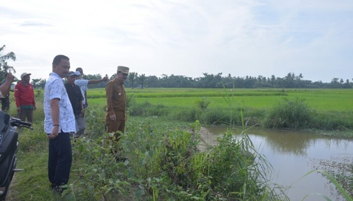Dinas PUPR Aceh Tamiang Diminta Siapkan DED Jalur Irigasi