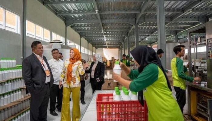 Perusahaan Pupuk Cair Bakal Buat Demplot Tani Di Dairi