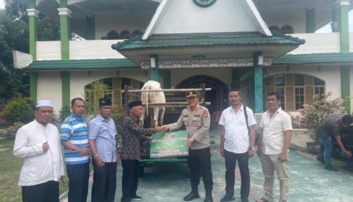 Kapolres Simalungun Serahkan Bantuan Hewan Qurban Kepada MUI
