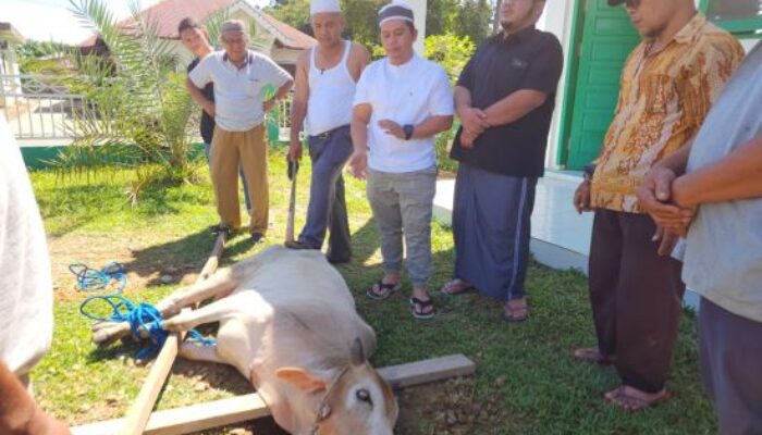 HIPMI Palas Sembelih Qurban, Berbagi Dengan Masyarakat