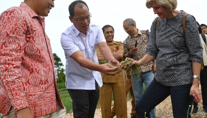 Perwakilan Bank Dunia Kunjungi Food Estate