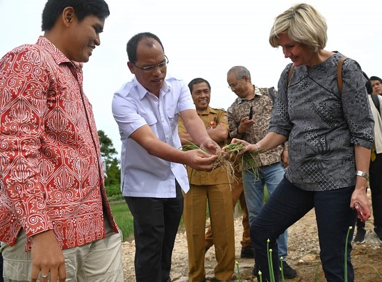 BUPATI Humbahas, Dosmar menunjukkan komoditi bawang merah kepada Kepala Perwakilan Bank Dunia di kawasan food estate. Waspada/Ist