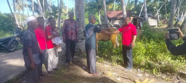 PDI Perjuangan membagikan hewan kurban kepada kader dan masyarakat di Kec. Muara Batang Gadis, Kab. Mandailing Natal. Waspada/Ist
