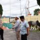 Kapolres Taput AKBP Johanson Sianturi memberikan bantuan kurban 1 ekor sapi dari Kapolda Sumatera Utara Irjen Pol Drs RZ Panca Putra Simanjuntak kepada umat Islam di Tapanuli Utara melalui MUI Cabang Tapanuli Utara. Waspada/ist