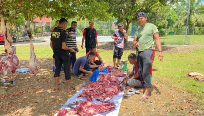Kemenag Nagan Raya Bantu 5 Sapi Kurban