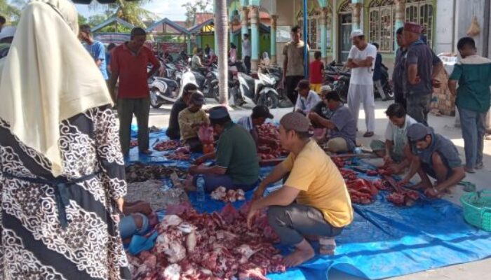 Labuhanruku Sembelih 27 Hewan Kurban