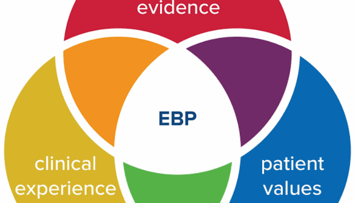 Pengembangan Sistem Aplikasi Online Untuk Penerapan Evidance Based Nursing Practice