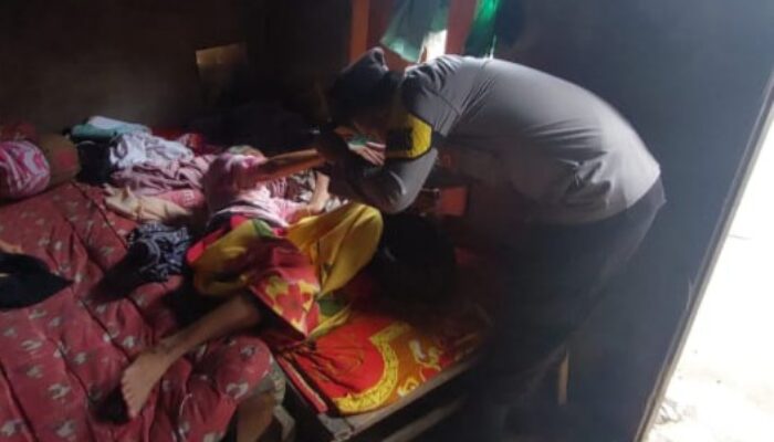 19 Peserta Dari Kabupaten/Kota Se-Aceh, Agara Juara Harapan 2 Lomba Boh Gaca PKA-8