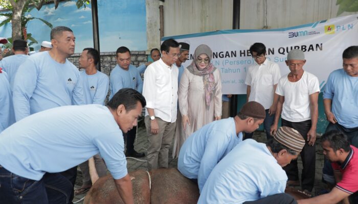 Idul Adha 1444 H, PLN UID Sumut Salurkan Ribuan Paket Daging Kurban
