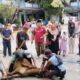 SMAN 3 Langsa Sembelih 4 Ekor Sapi
