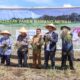 Menko Marves Panen Bawang Merah Di Food Estate