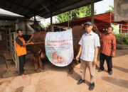 TelkomGroup serahkan lebih dari 1.000 hHwan Kurban ke 7 Regional di Indonesia