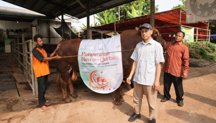 TelkomGroup serahkan lebih dari 1.000 hHwan Kurban ke 7 Regional di Indonesia