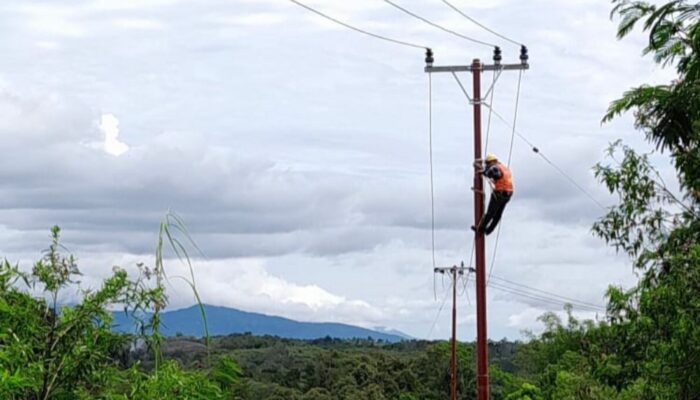 Melalui Program Listrik Pedesaan, 1.253 Pelanggan Daerah 3T Di Sumut Nikmati Listrik PLN