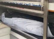 Jemaah Hilang Saat Puncak Haji Ditemukan Wafat