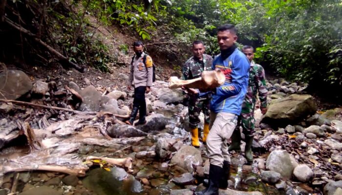 Seekor Gajah Jantan Mati Membusuk Di Tiro