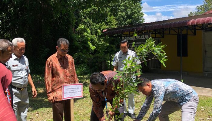 Jasa Raharja Aceh Dan Fakultas Hukum Unimal Tanam Pohon Tabebuya
