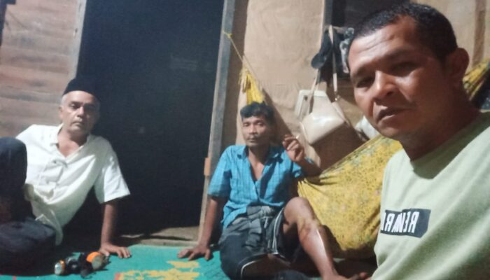 Beruang Serang Petani Madina Hingga Luka Parah