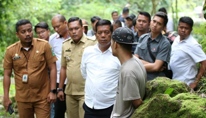 Stop Beri Makan Kera Di Jalan Kawasan Parapat Danau Toba