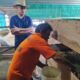Rutan Kelas I Medan Latih Warga Binaan Budidaya Maggot