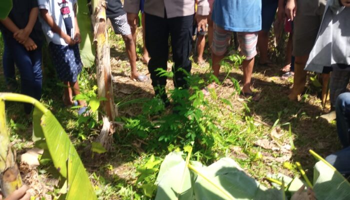 Mayat Wanita Terapung Di Sungai Bingai Binjai