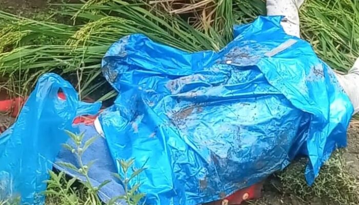 Disambar KA, Pengendara Sepeda Motor Tewas Di Tempat