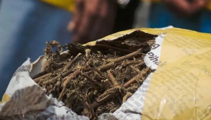 Heboh, Paket 5 Kg Ganja Di Loket ALS
