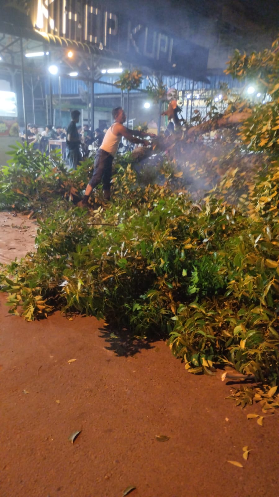 Di Tempuling, Truk Molen Tabrak Pohon, Listrikpun Padam