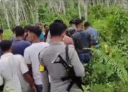 Kepergok 2 Harimau, Warga Kotanopan Makin Resah