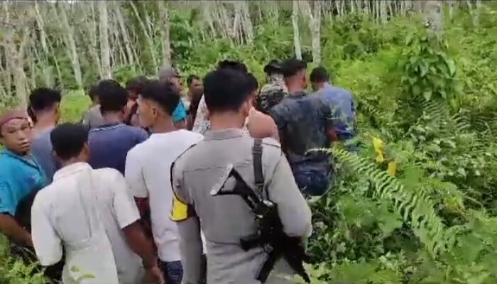 Kepergok 2 Harimau, Warga Kotanopan Makin Resah