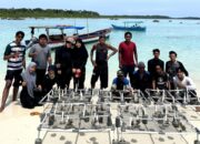 Dosen FP USU Pengabdian Masyarakat Di Desa Afulu Nias Utara