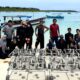 Dosen FP USU Pengabdian Masyarakat Di Desa Afulu Nias Utara