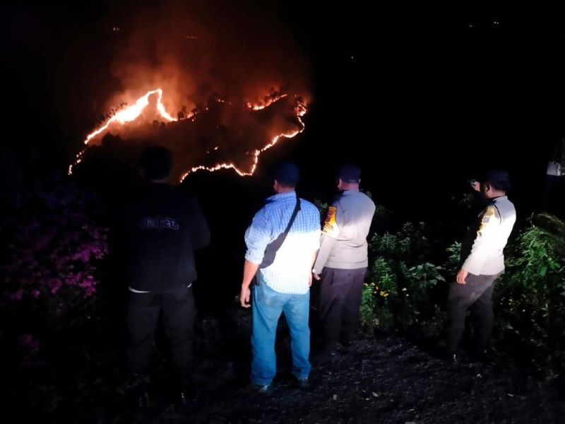 Hutan Di Tongging Terbakar