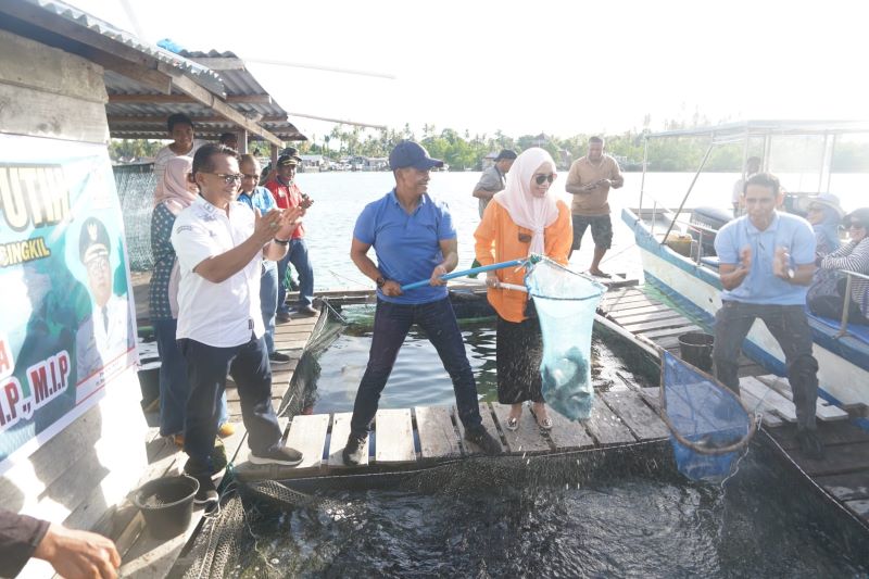 Jaga Konservasi Alam Pangdam IM Tanam Terumbu Karang Di Aceh Singkil