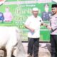 Kapolres Tapsel saat meninjau pelaksanaan penyembelihan hewan kurban di Asrama Polisi Sitataring. (Waspada/Ist)