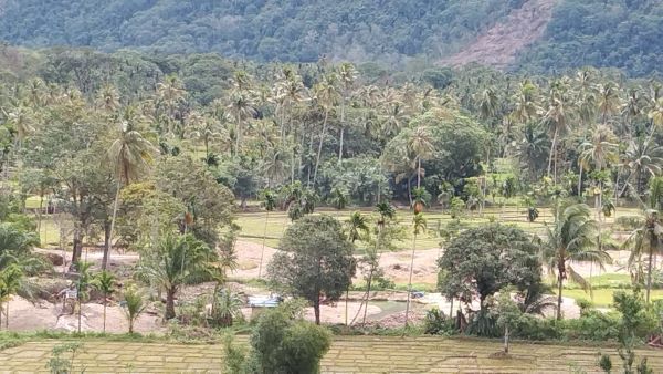 Tambang emas liar dan alih fungsi lahan serta gerusan arus sungai membuat lahan sawah di Kecamatan Ulu Barumun dari tahun ke tahun terus berkurang. (Waspada/Idaham Butar Butar/B)