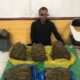 Petugas memperlihatkan kedua terdua pengedar ganja kering antarkabupaten, di ruang Satres Narkoba Polres Abdya. Jumat (7/7).Waspada/Syafrizal