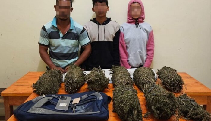 Pj Bupati Pidie Raih Peringkat Satu Kategori Andil Pawai PKA Ke-8