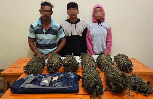 Tim Opsnal Satuan Reserse Narkoba Polres Lhokseumawe menangkap tiga pengedar narkotika dan menyita 7 Bal ganja di Desa Paya Lhok, Kecamatan Muara Dua, Kota Lhokseumawe, Sabtu (8/7). Waspada/Zainuddin Abdullah