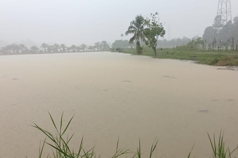 Hujan Deras, Jalan Negara Di Abdya Banjir Hujan Deras, Jalan Negara Di Abdya Banjir