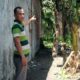 Pohon mangga lokasi W nekat mengakhiri hidup dengan gantung diri. Waspada/Darmawan.