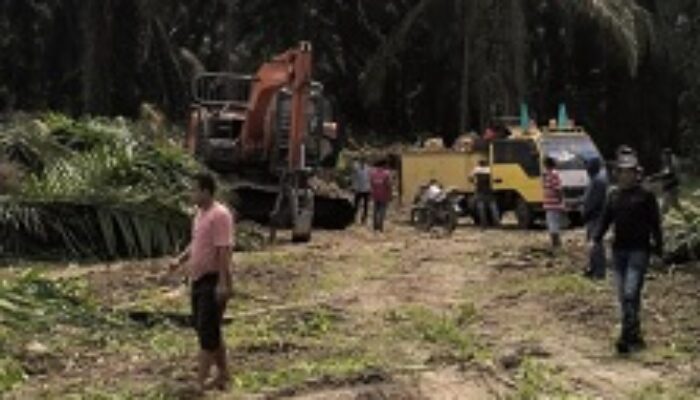 SSL Diduga Serobot Lahan Warga Tobing Tinggi