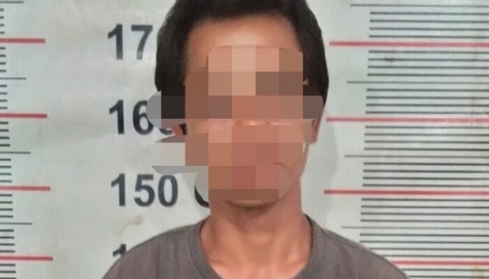Seorang Pelaku Curanmor Dibekuk Polsek Besitang, Satu Masih Buron