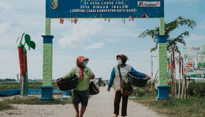 Program Babe Lucu Inalum, Dorong Pertumbuhan Ekonomi Batubara