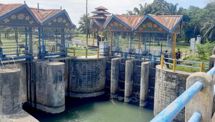 DI Tiro Kering, Petani Pidie Pusing