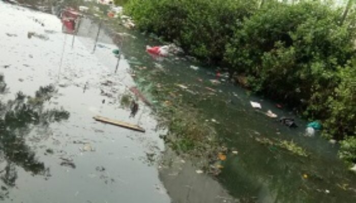 Pemerintah Jangan Tutup Mata, Kanal P. Brandan Dijadikan TPS