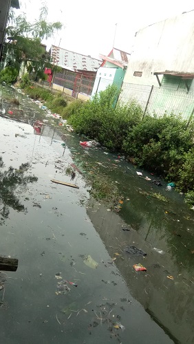 SAMPAH mengambang dan hanyut terbawa arus air laut di parit kanal P. Brandan, Kec. Babalan. Waspada/Asrirrais