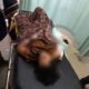 Korban Sunarti saat dilarikan ke RSUD Aceh Singkil untuk mendapatkan perawatan dan akan menjalani operasi karena luka-luka serius. WASPADA/Ist